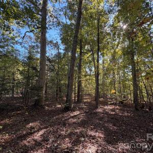 Photo #9 of Lot 2 Ramah Church, York, SC