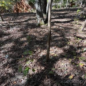 Photo #15 of Lot 2 Ramah Church, York, SC