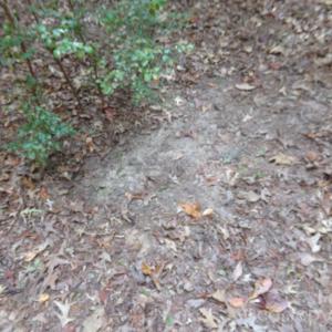 Photo #25 of 60 Ac Armenia, Chester, SC