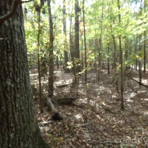 Photo #9 of 60 Ac Armenia, Chester, SC