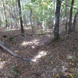 Photo #8 of 60 Ac Armenia, Chester, SC