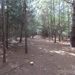 Photo #15 of 60 Ac Armenia, Chester, SC