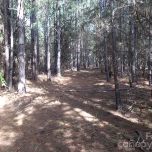 Photo #16 of 60 Ac Armenia, Chester, SC