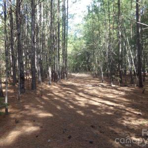 Photo #22 of 60 Ac Armenia, Chester, SC