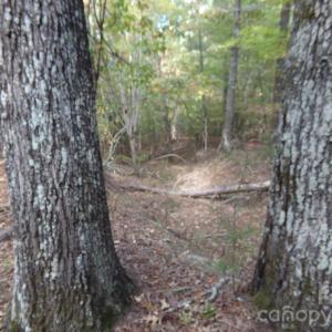 Photo #13 of 60 Ac Armenia, Chester, SC