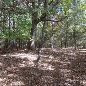 Photo #14 of 60 Ac Armenia, Chester, SC