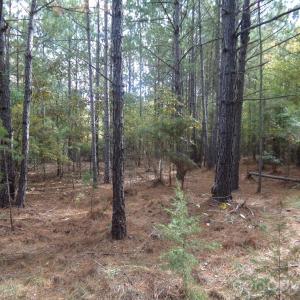 Photo #19 of 60 Ac Armenia, Chester, SC
