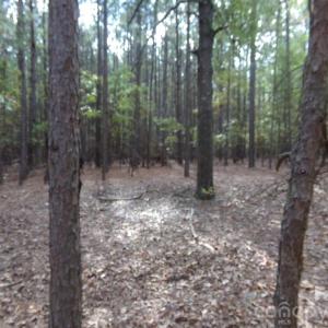 Photo #17 of 60 Ac Armenia, Chester, SC