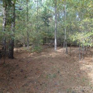 Photo #7 of 60 Ac Armenia, Chester, SC