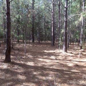 Photo #18 of 60 Ac Armenia, Chester, SC