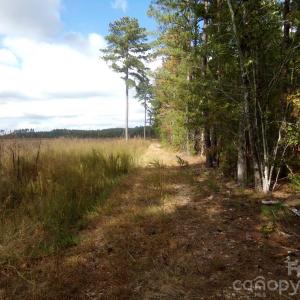 Photo #29 of 60 Ac Armenia, Chester, SC