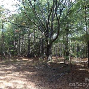 Photo #12 of 60 Ac Armenia, Chester, SC
