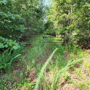 Photo #5 of 0 WHIPPOORWILL DR, X 4 AND CHICKADEE CT X 4, BARBOURSVILLE, VA 171.0 acres