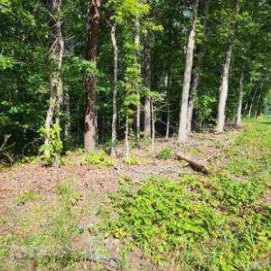 Photo #6 of 0 WHIPPOORWILL DR, X 4 AND CHICKADEE CT X 4, BARBOURSVILLE, VA 171.0 acres