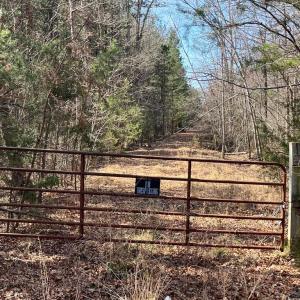 Photo #2 of 0 WHIPPOORWILL DR, X 4 AND CHICKADEE CT X 4, BARBOURSVILLE, VA 171.0 acres