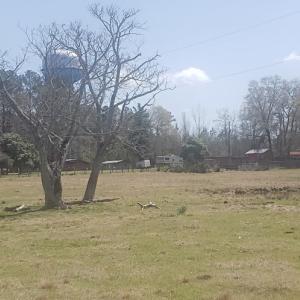 Photo #13 of 716 Augusta, Edgefield, SC 30.3 acres