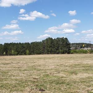 Photo #26 of 716 Augusta, Edgefield, SC 30.3 acres