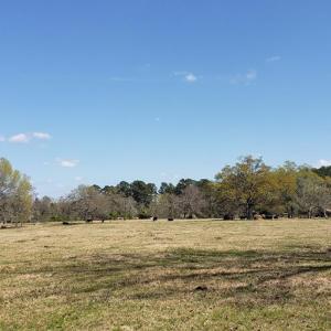 Photo #8 of 716 Augusta, Edgefield, SC 30.3 acres