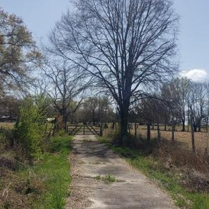 Photo #14 of 716 Augusta, Edgefield, SC 30.3 acres