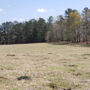 Photo #7 of 716 Augusta, Edgefield, SC 30.3 acres