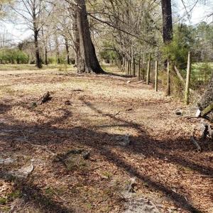 Photo #19 of 716 Augusta, Edgefield, SC 30.3 acres