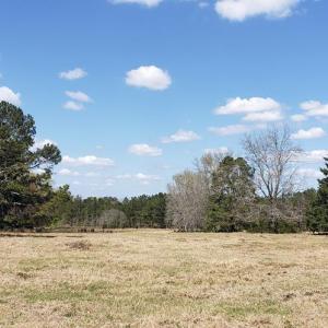 Photo #24 of 716 Augusta, Edgefield, SC 30.3 acres