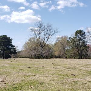 Photo #23 of 716 Augusta, Edgefield, SC 30.3 acres