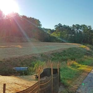 Photo #5 of 15 South Main St., Farmville, VA 1.6 acres