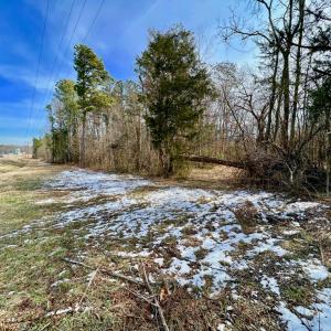 Photo #3 of 360 East Patrick Henry Highway, Crewe, VA 19.2 acres
