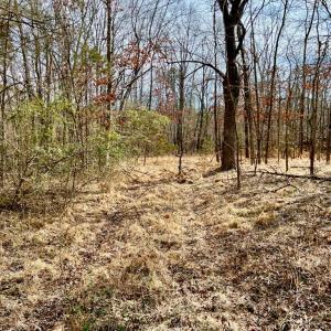 Photo #5 of 360 East Patrick Henry Highway, Crewe, VA 19.2 acres