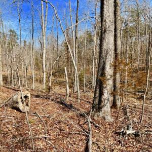 Photo #6 of 360 East Patrick Henry Highway, Crewe, VA 19.2 acres