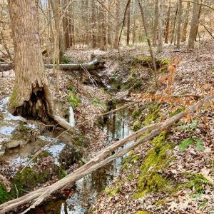 Photo #8 of 360 East Patrick Henry Highway, Crewe, VA 19.2 acres