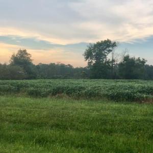 Photo #9 of Lot 1 WATERSIDE DR, NEW CHURCH, VA 1.6 acres
