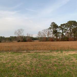 Photo #10 of Lot 1 WATERSIDE DR, NEW CHURCH, VA 1.6 acres