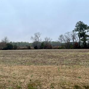 Photo #12 of Lot 1 WATERSIDE DR, NEW CHURCH, VA 1.6 acres