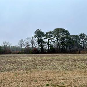 Photo #13 of Lot 1 WATERSIDE DR, NEW CHURCH, VA 1.6 acres