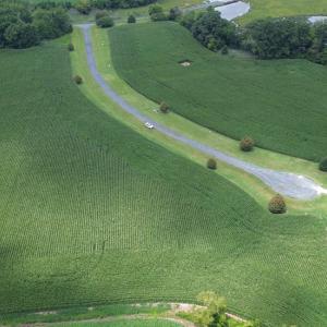 Photo #3 of Lot 1 WATERSIDE DR, NEW CHURCH, VA 1.6 acres