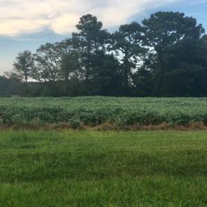 Photo #8 of Lot 1 WATERSIDE DR, NEW CHURCH, VA 1.6 acres