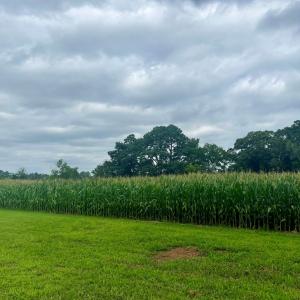 Photo #2 of Lot 2 WATERSIDE DR, NEW CHURCH, VA 1.6 acres