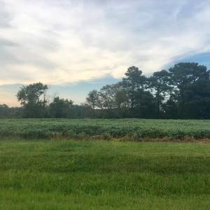 Photo #6 of Lot 2 WATERSIDE DR, NEW CHURCH, VA 1.6 acres