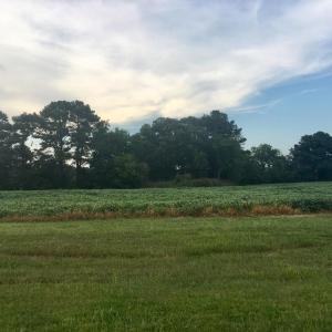 Photo #7 of Lot 2 WATERSIDE DR, NEW CHURCH, VA 1.6 acres