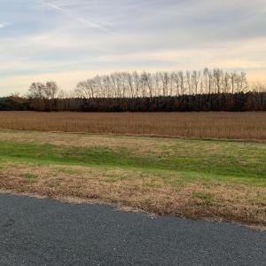 Photo #8 of Lot 2 WATERSIDE DR, NEW CHURCH, VA 1.6 acres