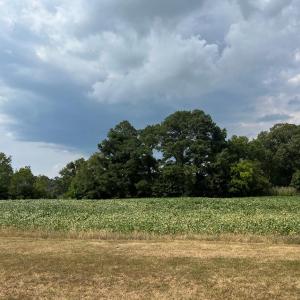 Photo #9 of Lot 2 WATERSIDE DR, NEW CHURCH, VA 1.6 acres