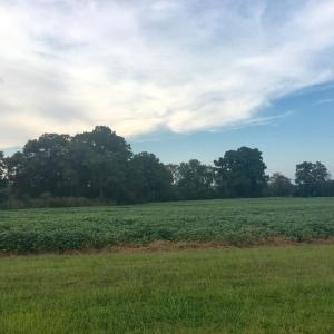 Photo #10 of Lot 3 WATERSIDE DR, NEW CHURCH, VA 2.5 acres