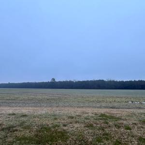 Photo #12 of Lot 3 WATERSIDE DR, NEW CHURCH, VA 2.5 acres