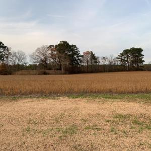 Photo #7 of Lot 3 WATERSIDE DR, NEW CHURCH, VA 2.5 acres
