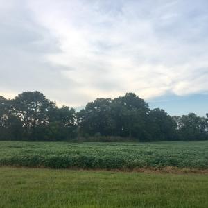 Photo #8 of Lot 3 WATERSIDE DR, NEW CHURCH, VA 2.5 acres