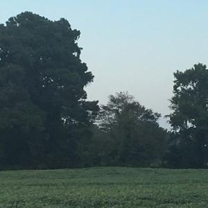 Photo #9 of Lot 3 WATERSIDE DR, NEW CHURCH, VA 2.5 acres