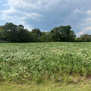 Photo #6 of Lot 4 WATERSIDE DR, NEW CHURCH, VA 2.1 acres