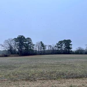 Photo #10 of Lot 4 WATERSIDE DR, NEW CHURCH, VA 2.1 acres
